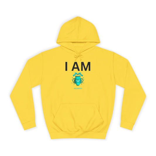 I AM Aquarius Unisex Hoodie