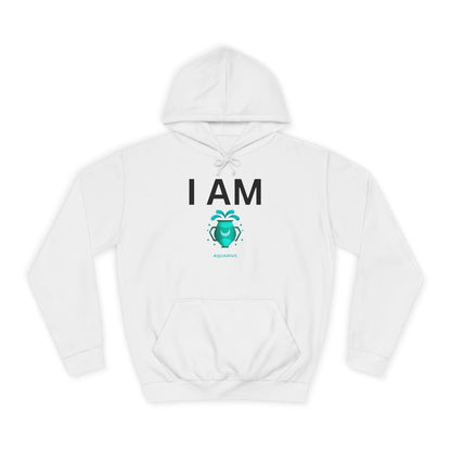 I AM Aquarius Unisex Hoodie