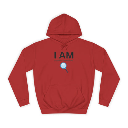 I AM Divorced & Searching Unisex Hoodie